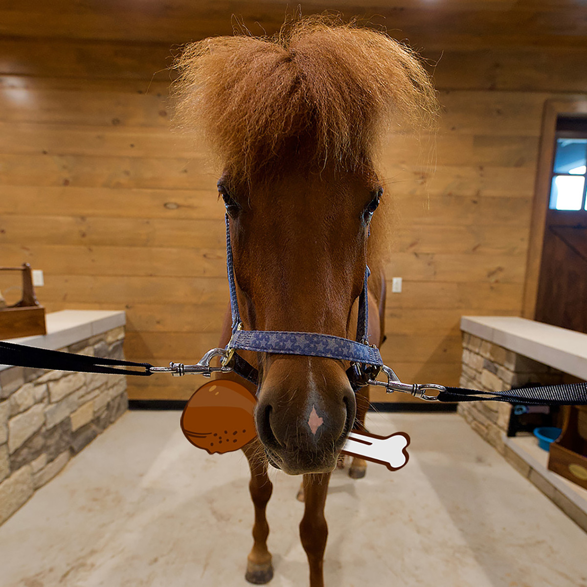 Furry Friendsgiving - logo